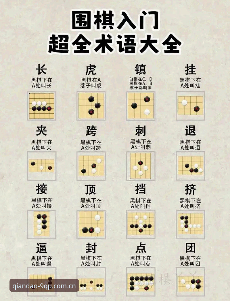 棋牌电脑版资深用户实战经验：从入门到精通的全方位指南